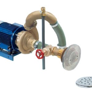 Plieninio dugno masažas